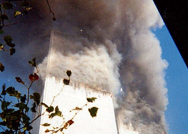 wtc7